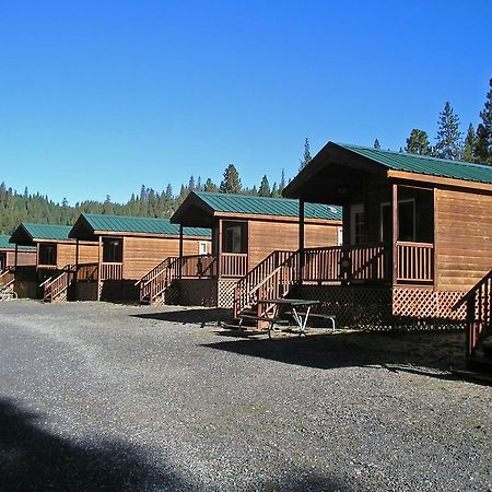 Harden Flat Yosemite Lakes Cabin 37 מראה חיצוני תמונה
