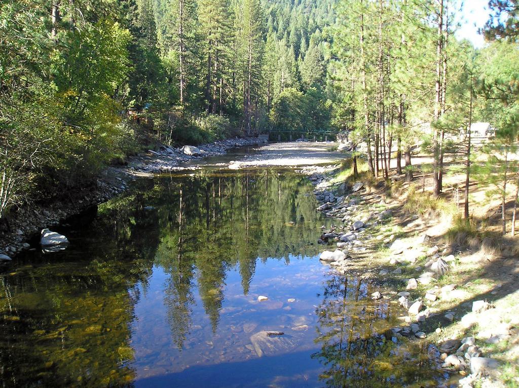 Harden Flat Yosemite Lakes Cabin 37 מראה חיצוני תמונה